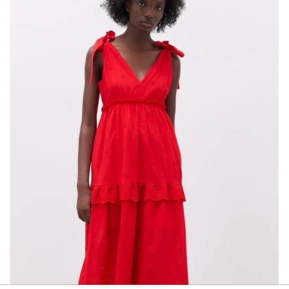 Zara Embroidered Dress - Picture 1 of 6